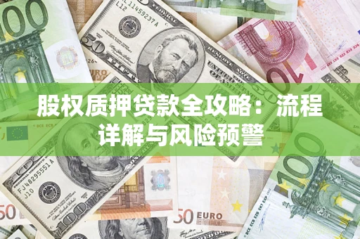济南股权质押贷款全攻略：流程详解与风险预警