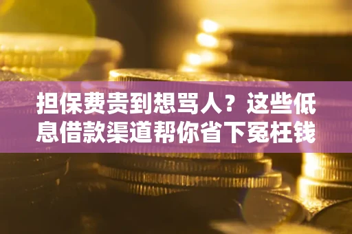 济南担保费贵到想骂人？这些低息借款渠道帮你省下冤枉钱