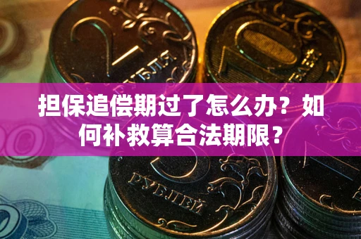 济南担保追偿期过了怎么办？如何补救算合法期限？
